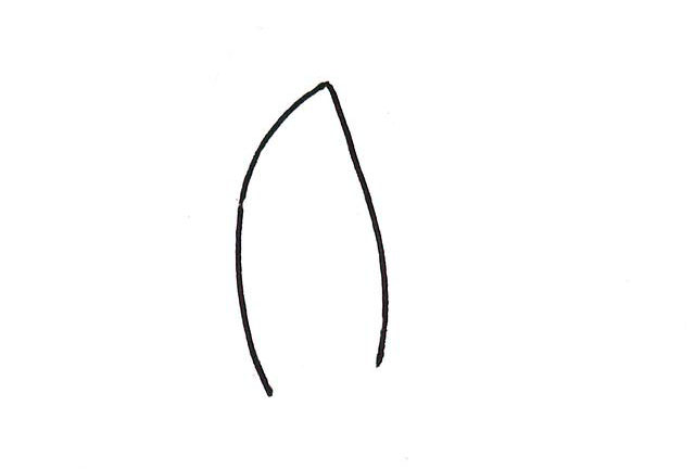 步骤1：先画发际线