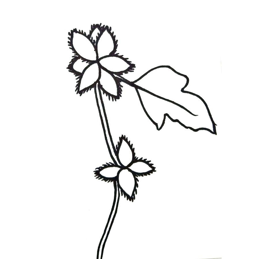 步骤4：画出布满周身的勾刺