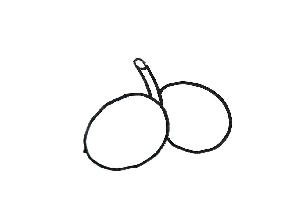 步骤1：首先画出两个贴着的椭圆，作为核桃的轮廓。