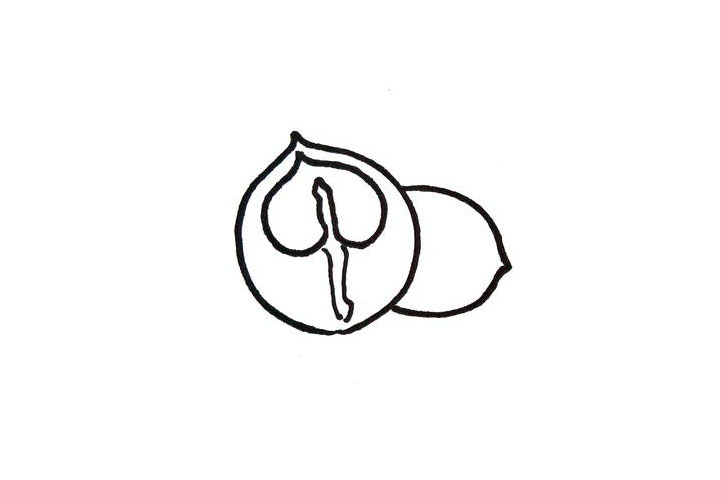 步骤3：背后画出另一个核桃的轮廓。