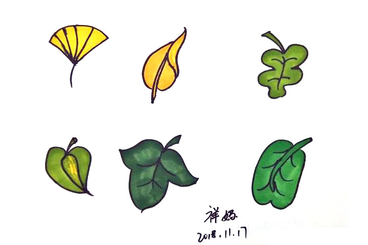 各种植物树叶简笔画的画法-图2