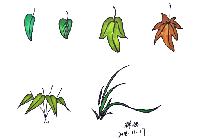 各种植物树叶简笔画的画法-图6