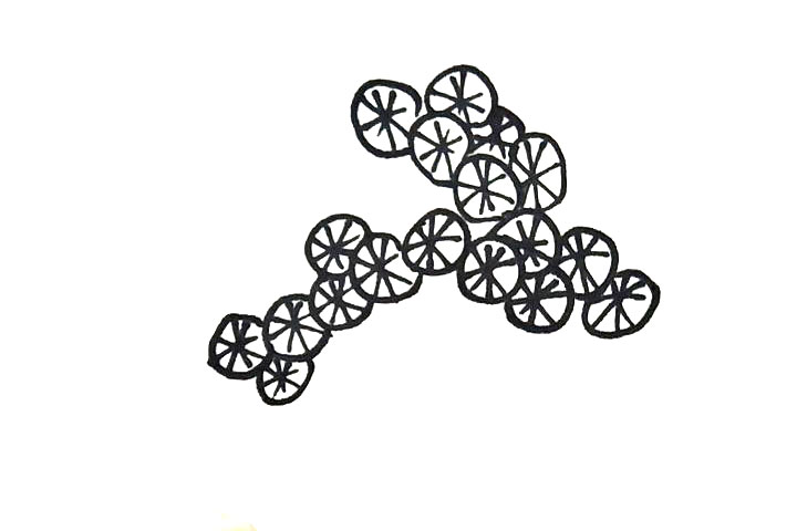 步骤3：然后上方画六片，让它看起来比较茂盛。