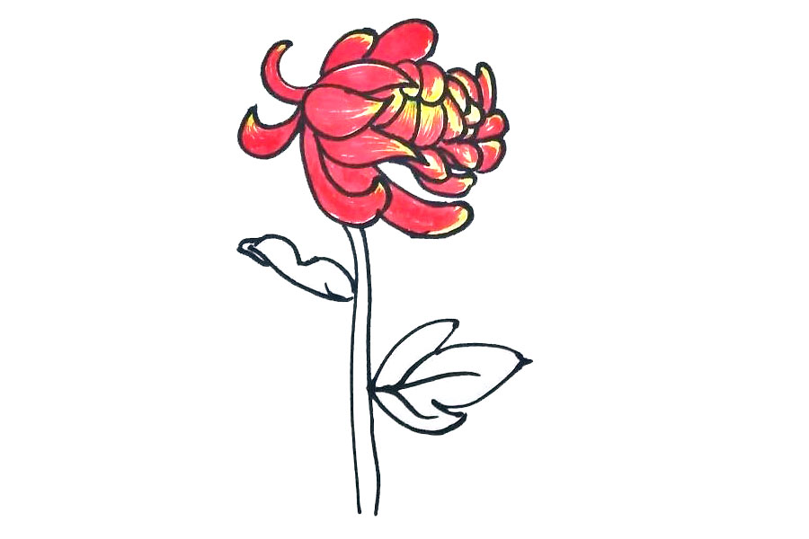 步骤5：接着用红色给花朵上色。