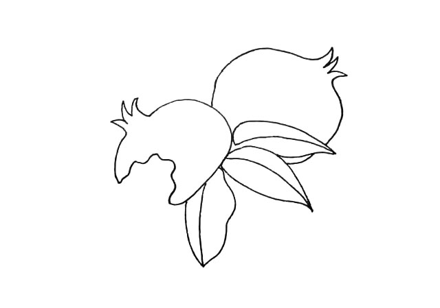 步骤5：在旁边画上一个石榴.注意这个石榴的位置。