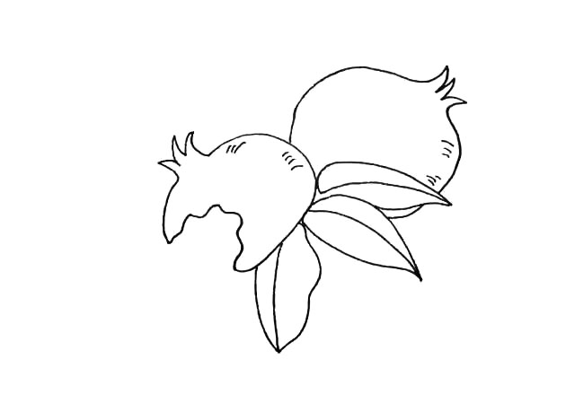 步骤6：用小线条来装饰下果皮上面的纹理。