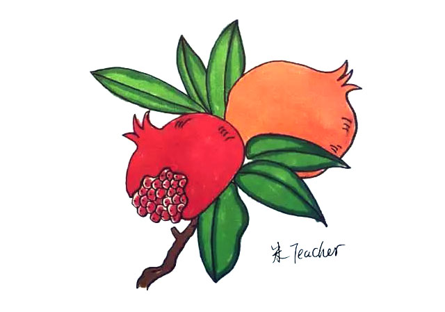 石榴简笔画画法步骤
