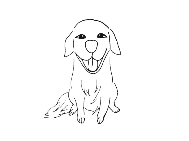 步骤7：接着画出它的尾巴.注意线条的变化。