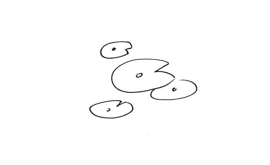 步骤1：首先画出几片大小不一的荷叶。