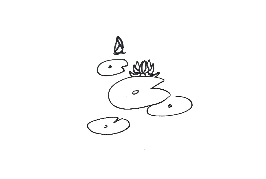 步骤2：在它们中间画出一朵花骨朵，一朵盛开的荷花。