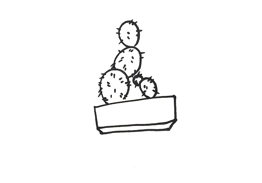 步骤3：画出仙人掌的刺。