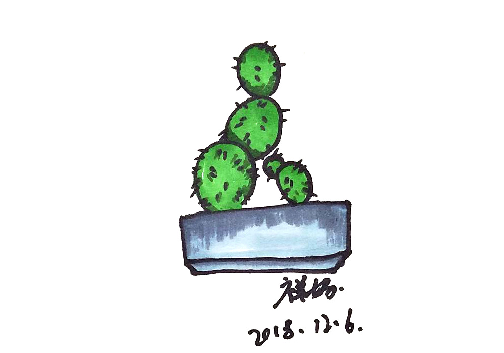 仙人掌盆栽怎么画