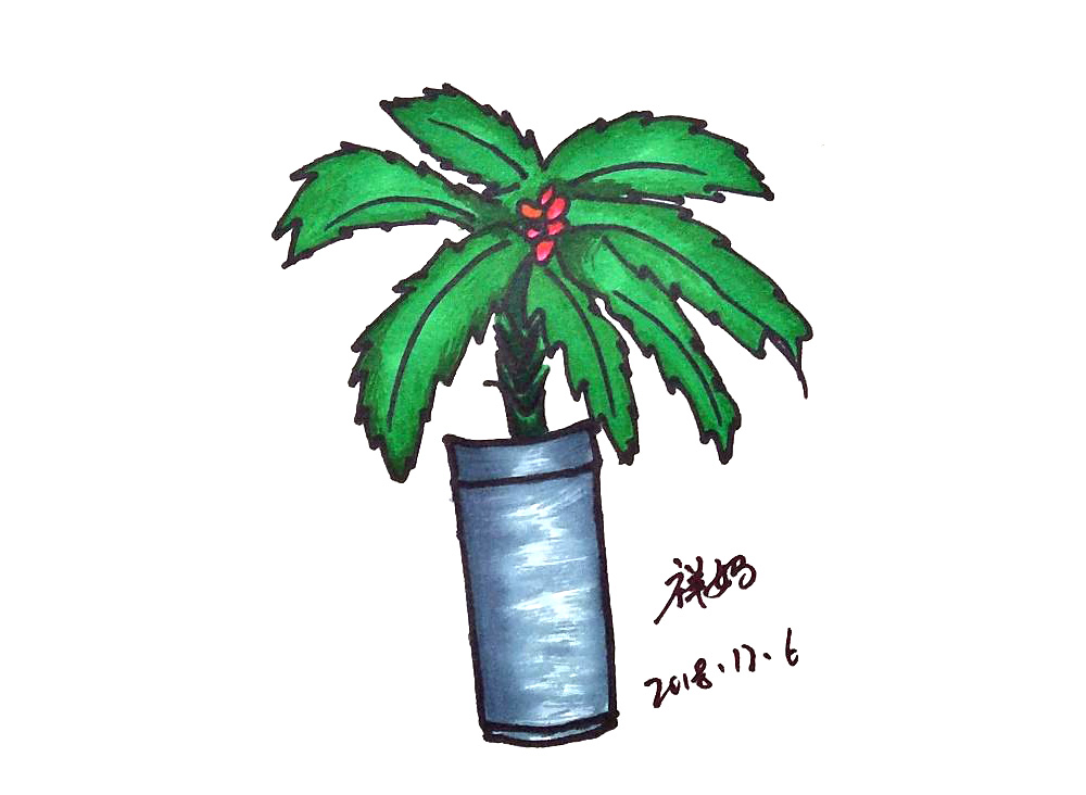 漂亮的盆栽植物简笔画