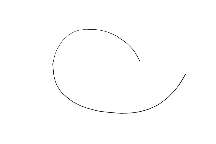 步骤2：再画一条相对的曲线代替小鸟的身体。