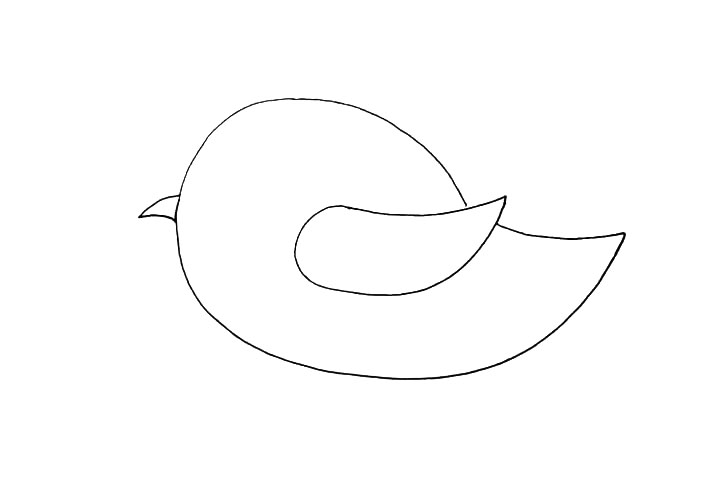 步骤5：画出小鸟尖尖的嘴巴。