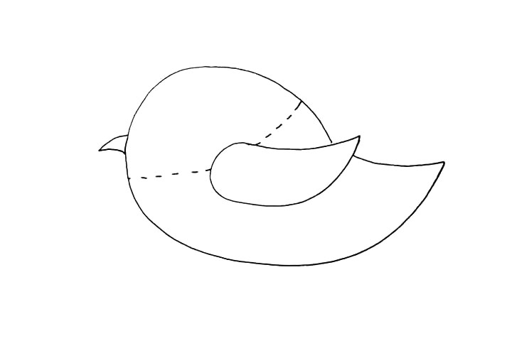 步骤6：接着用虚线把小鸟的头部给描绘出来。