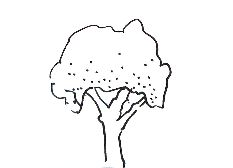 几种大树的画法-图1