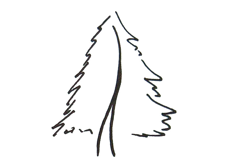 几种大树的画法-图4