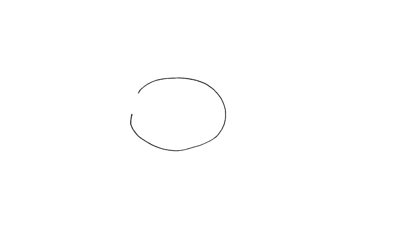 步骤1：首先画出莲花的叶子.一个椭圆形留出一个缺口。