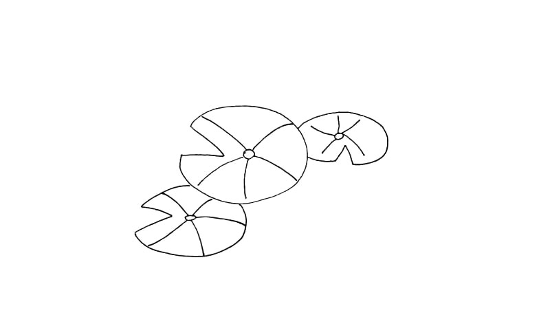 步骤5：上方也画上一片叶子.注意这三片叶子的位置。