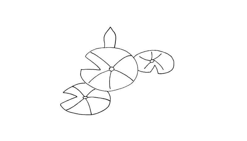 步骤6：在中间叶子的上方画上一片花瓣.注意花瓣的形状。