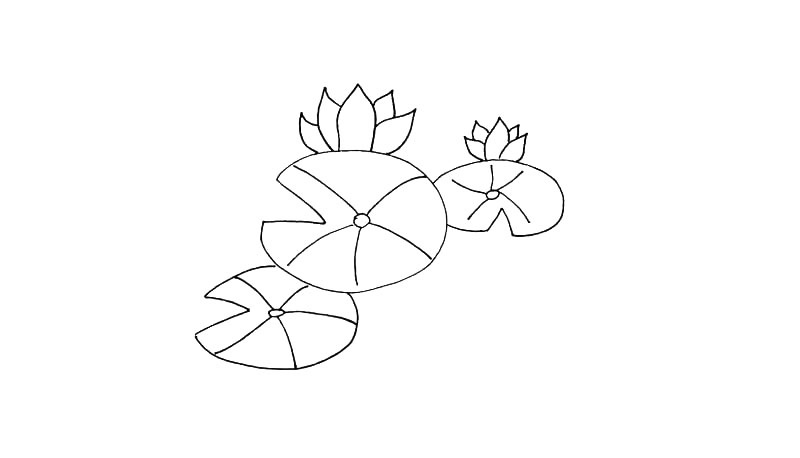 步骤8：在右边也画上一朵莲花.注意形状和大小。