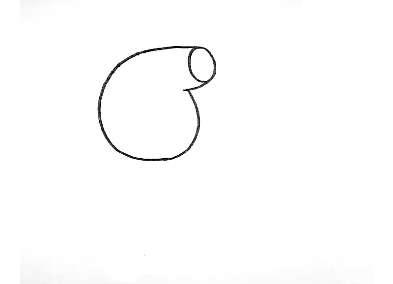 步骤1：首先画出小猪佩奇的头部轮廓。