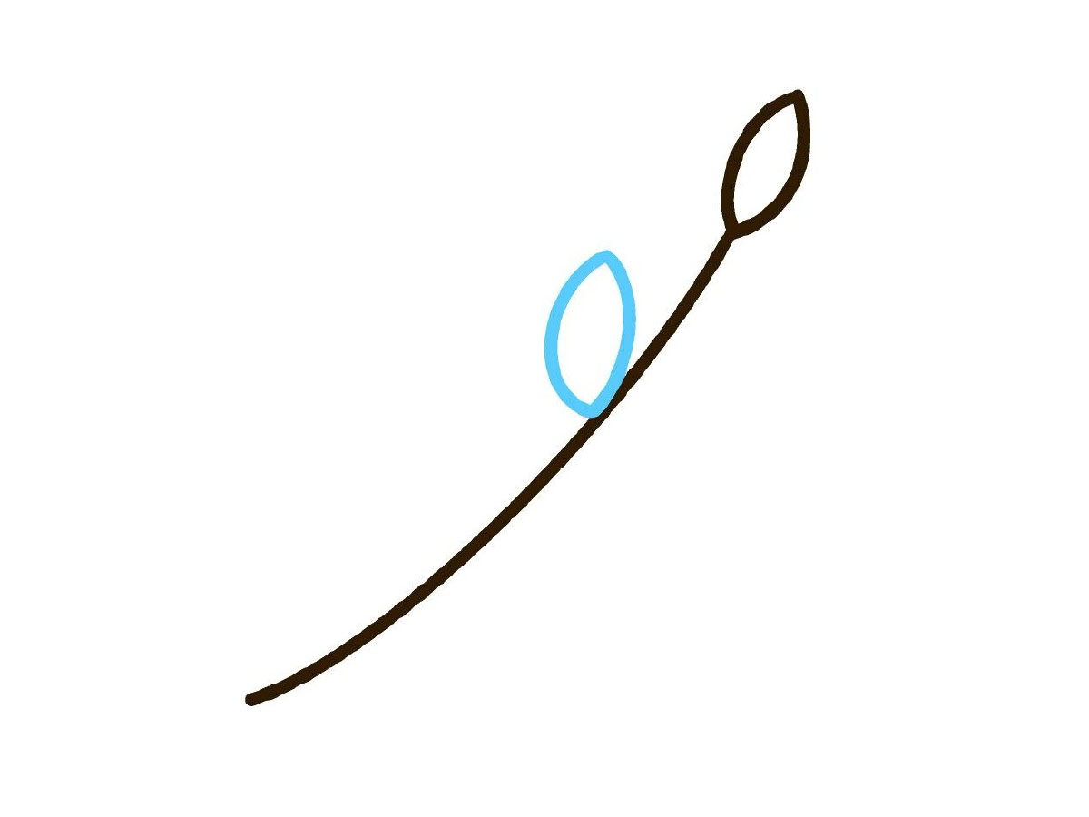 步骤3：左边画上一片叶子。