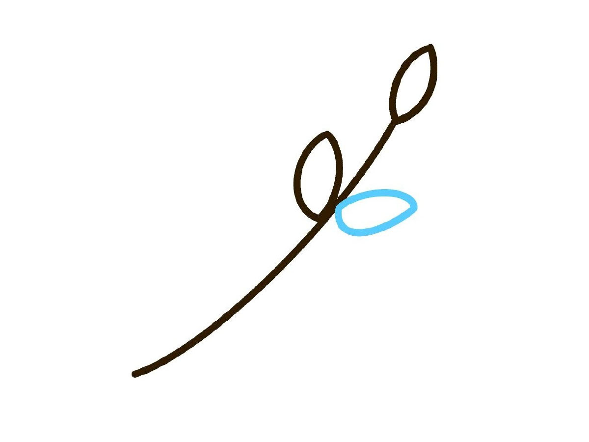 步骤4：对称给右边画上叶子。