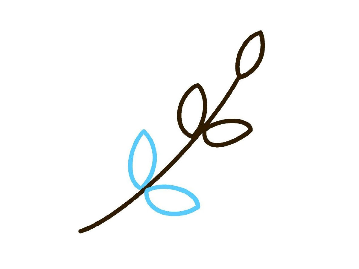 步骤5：和之前一样，画上两片叶子。