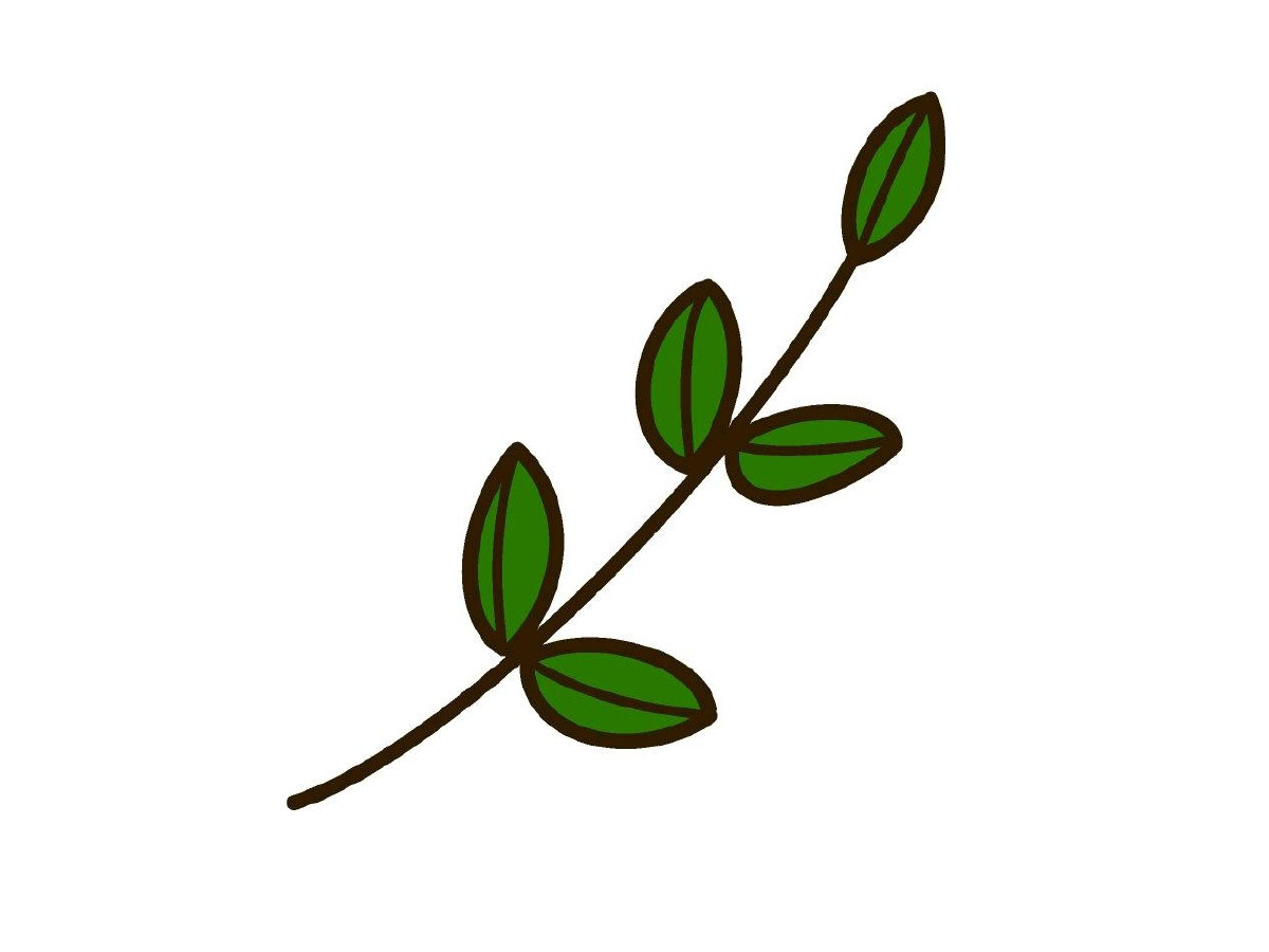 树枝简笔画画法步骤