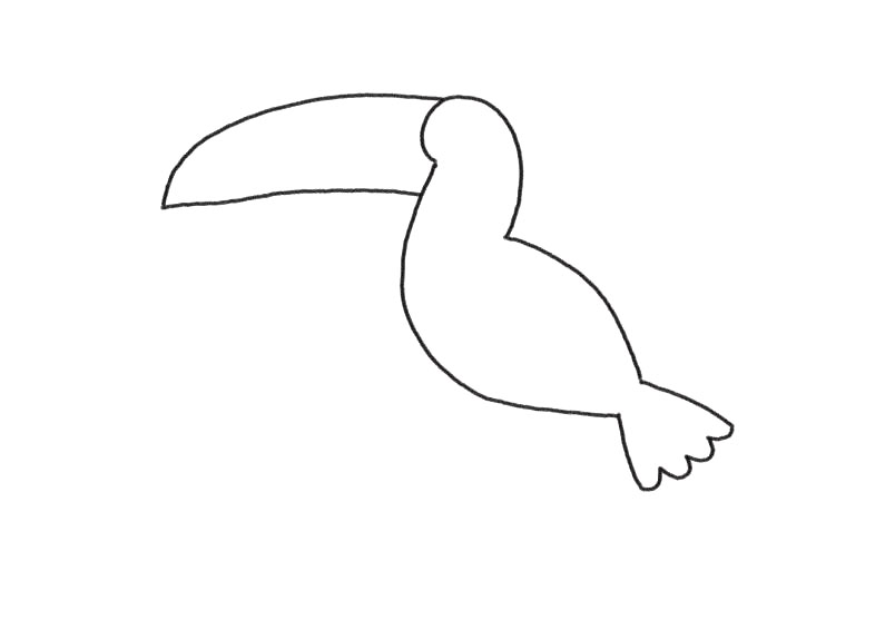 步骤2：接着画巨嘴鸟的大嘴巴和尾巴。