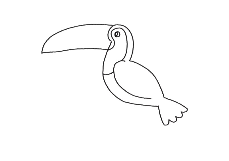 步骤3：接着画身体的内部轮廓。