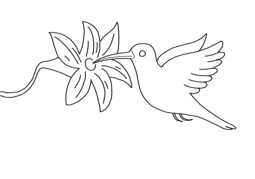 步骤5：完善花朵。