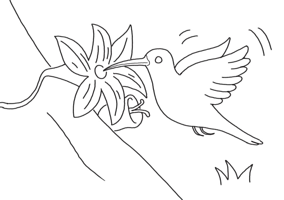 步骤6：完善背景图案。