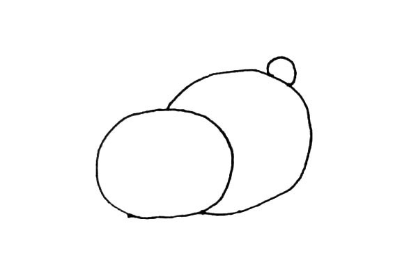步骤2：在脸的后面，再加上一个椭圆形的身子，上面画上一个小圆作为尾巴。