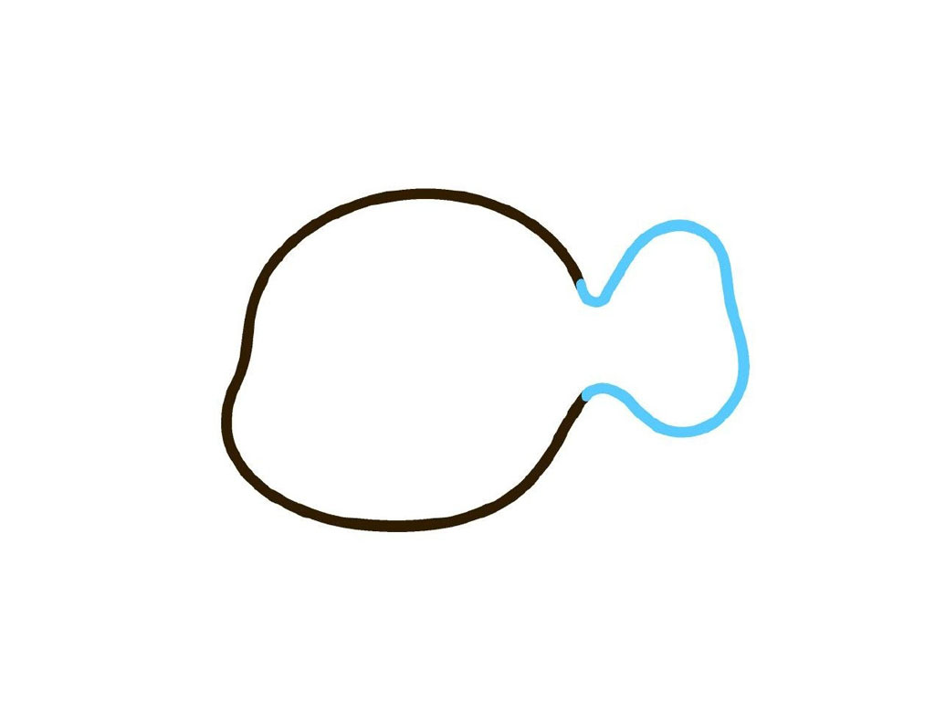 步骤2：画上尾巴。