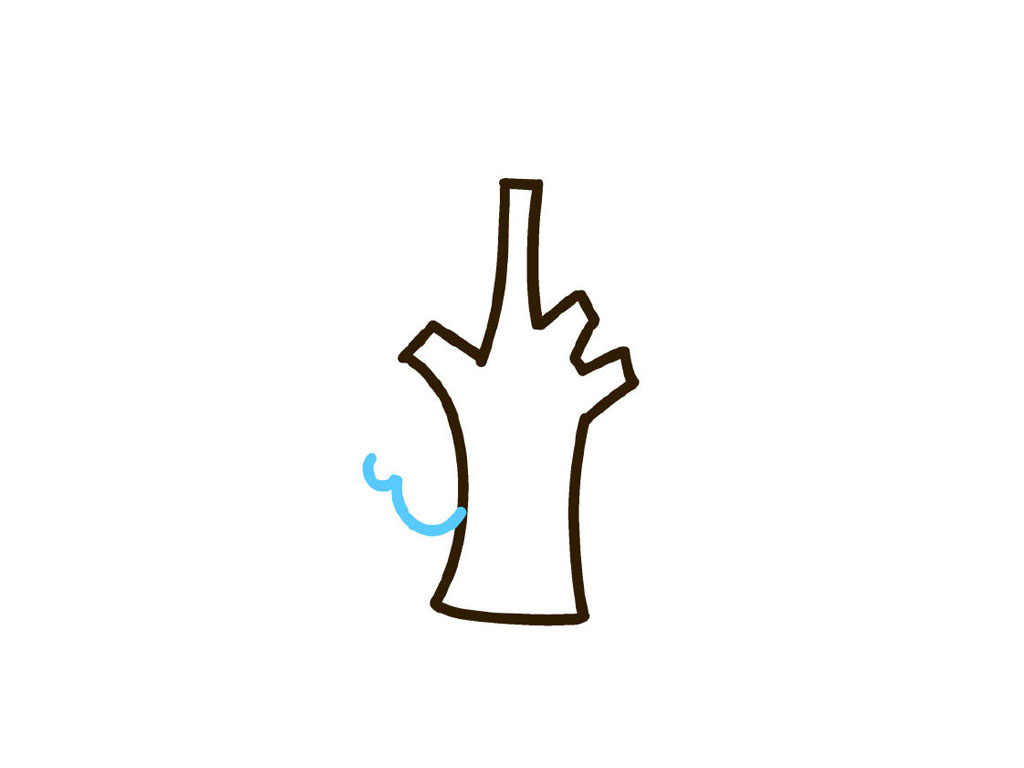 步骤4：沿着树枝画小弧线，大小随意。