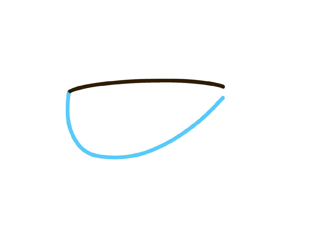 步骤2：画出鱼肚子的弧线。