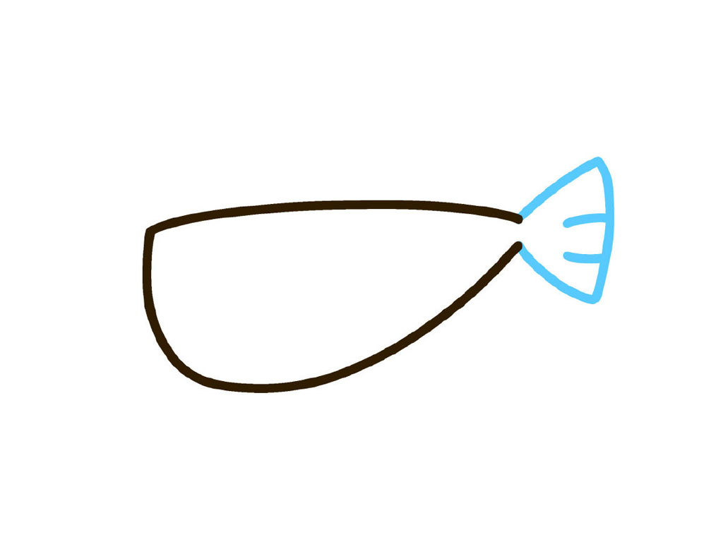 步骤3：画鱼尾巴。