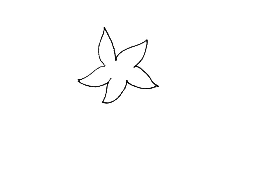 步骤2：用同样的方法再画上几片。