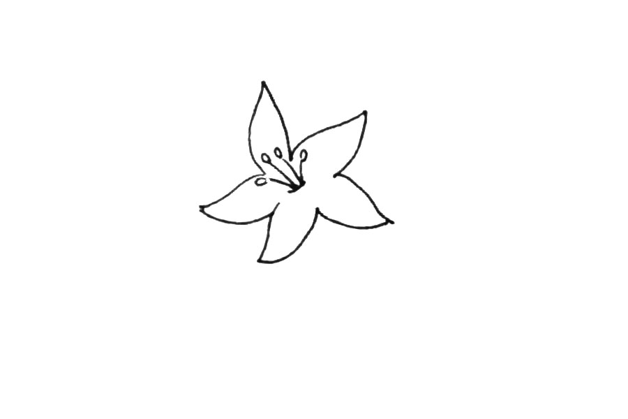 步骤3：接着在中间画上长条的花蕊。