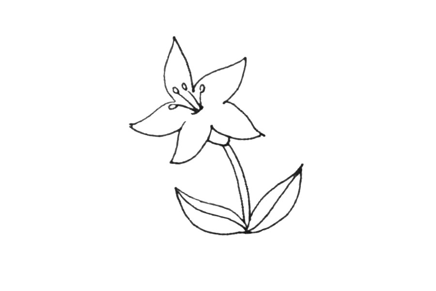 步骤5：给叶子加上中线并和花朵连接起来。