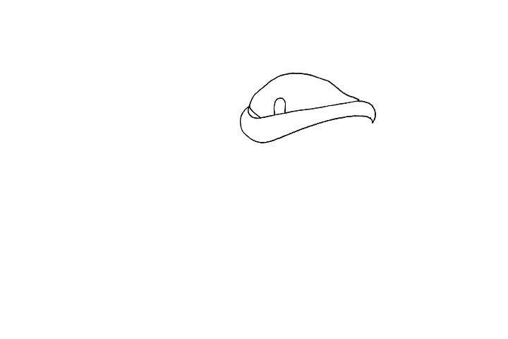 步骤4：在花朵的中间画出短短的花蕊。