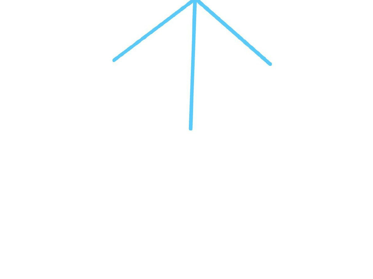 步骤1：画蜘蛛网的框架。