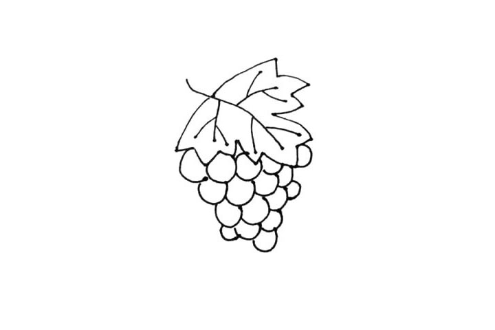 步骤5：接着画下一层又一层的葡萄，注意每一层要比上一层少或者小。