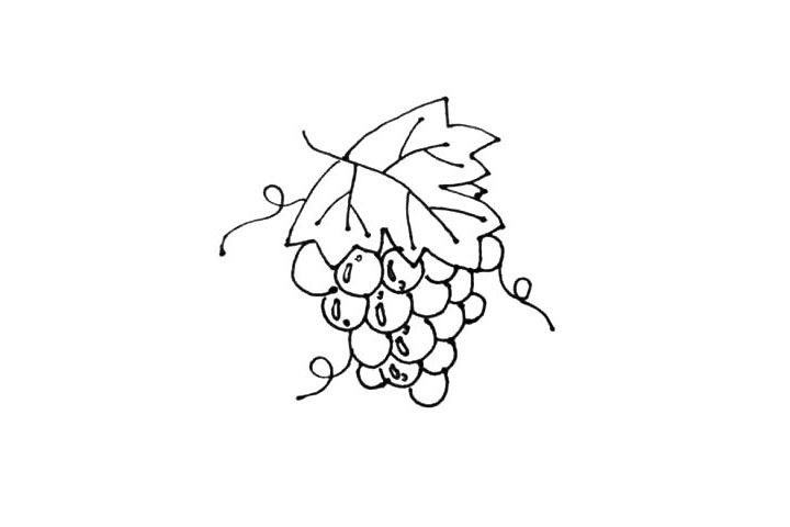 步骤7：挑几颗大一些的葡萄画上一些高光。