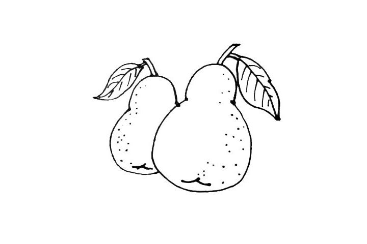 步骤6：在后面，用同样的画法再画上一个梨，注意观察变化。