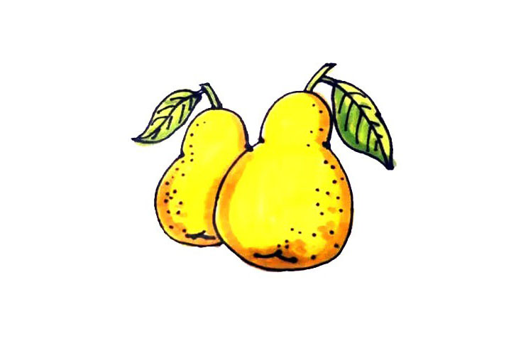 简笔画梨的画法步骤