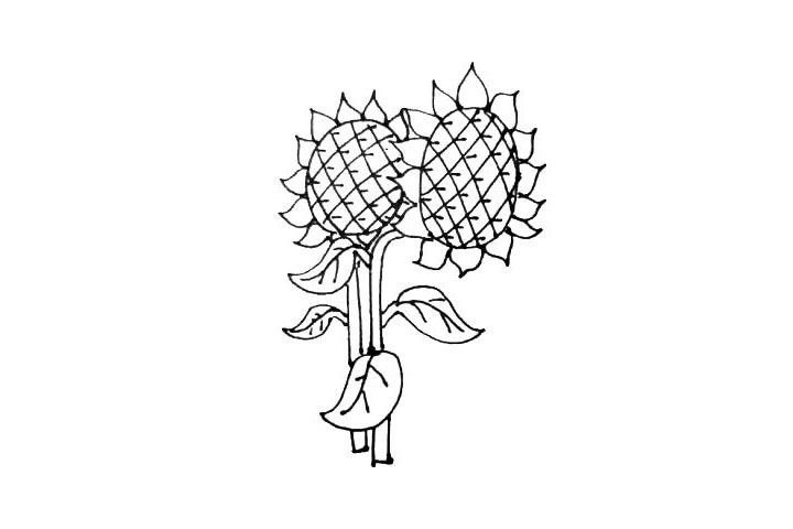 步骤8：一朵向日葵太孤单了，用刚刚的画法再画出一株向日葵吧。